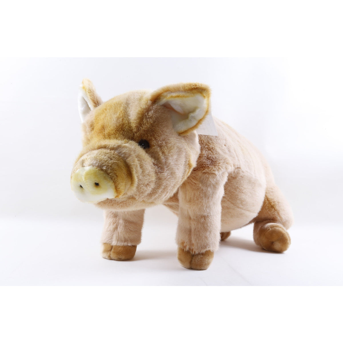 XL Pig Kamar Rare Prototype Sample Shanks Pig 1988 Soft Plush Toy Beige Stuffed  ~ 938