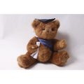 Bearington Graduate Teddy Bear Plush Vintage Gift Idea ~ 260602-WH 534