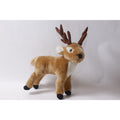 Plushland Reindeer Medium Plush Stuffed Animal Holiday Decor ~ 260914-WH 1358